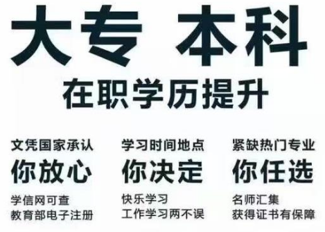 成都领孚教育咨询有限公司